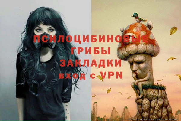 сатива Волосово